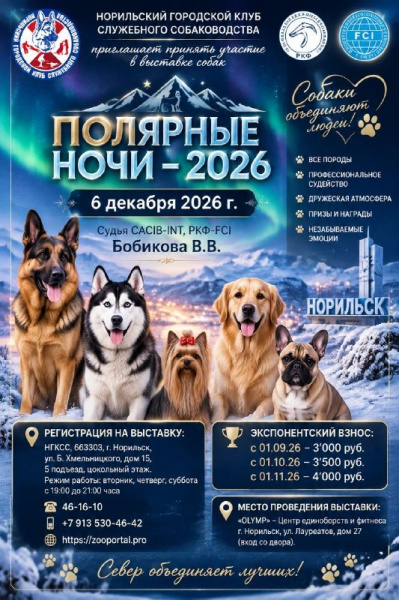 Полярные ночи-2026