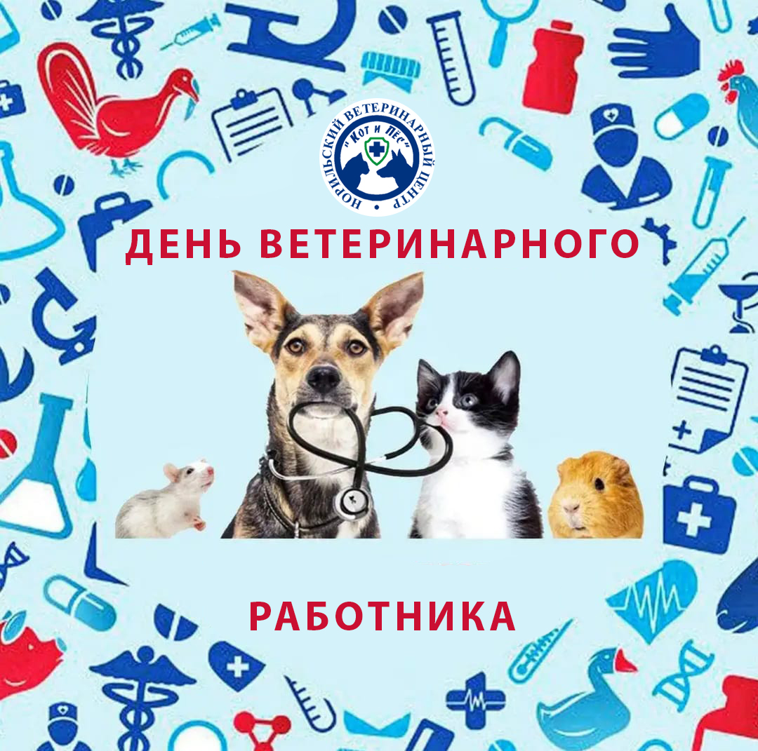 31 августа - день ветеринарного работника России