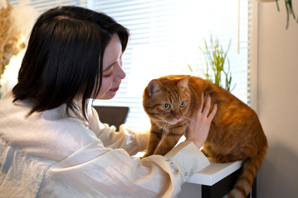 Кошачий зуд: симптомы, причины и лечение